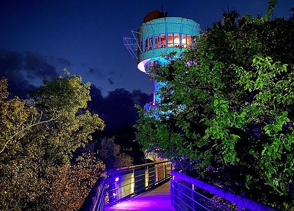 Der Baumkronenpfad (Foto: KTL)