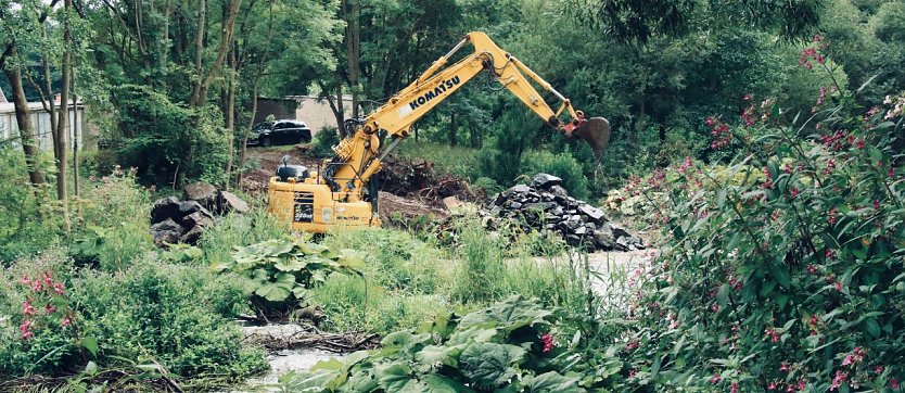 Baggerarbeiten am Zorgeufer (Foto: agl)