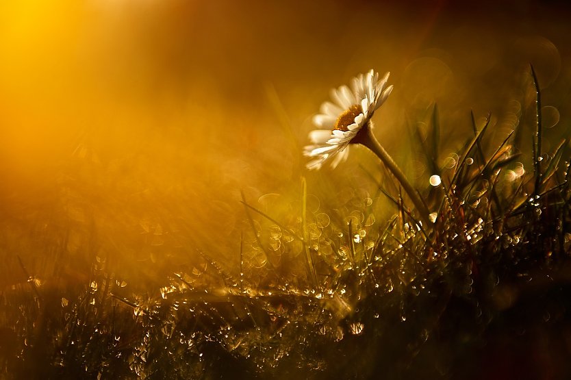 Wetterbild (Foto: basilsmith)