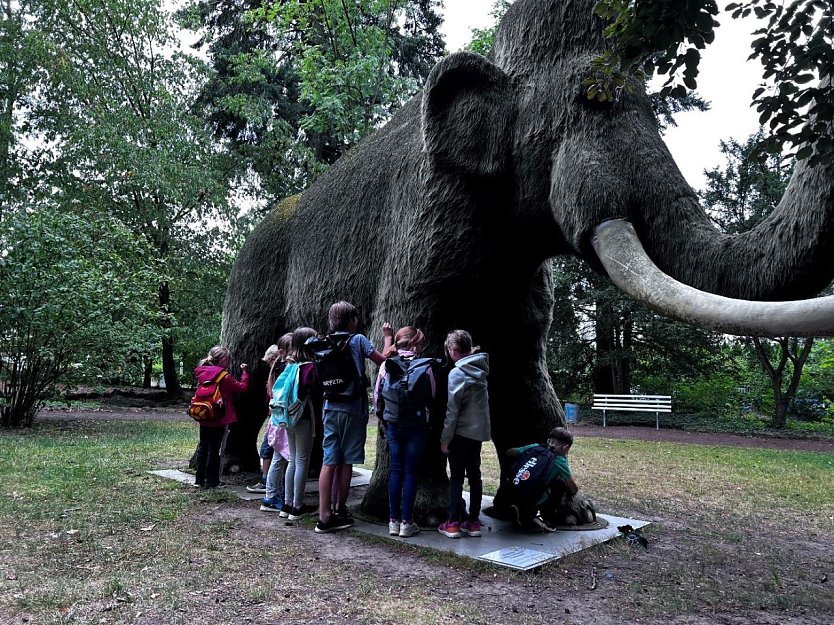 Sommerferienfreizeit des Familienzentrums (Foto: JuSoWe)