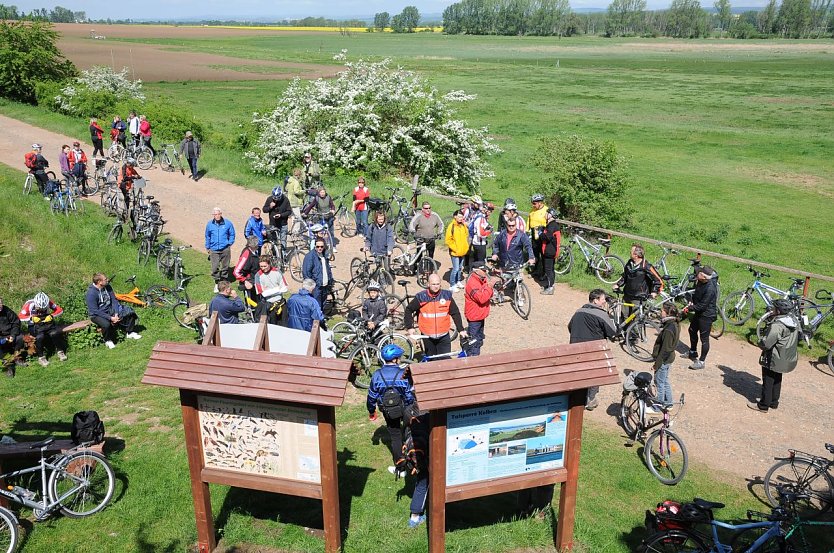 Im Biosphärenreservat lädt man im September wieder zum "Radtag" (Foto: Biosphärenreservat Karstlandschaft Südharz)