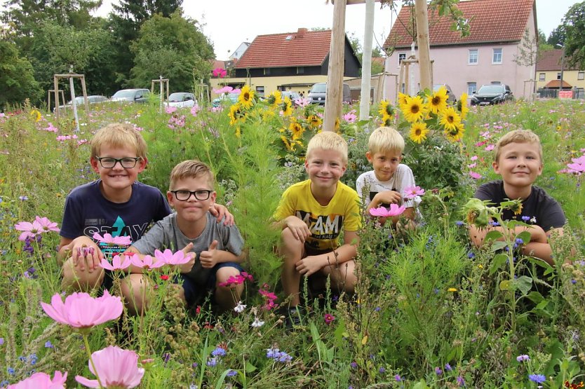 Die frisch gebackenen Viertklässler der Grundschule Niedersalza inmitten "ihrer" Wiese (Foto: agl)