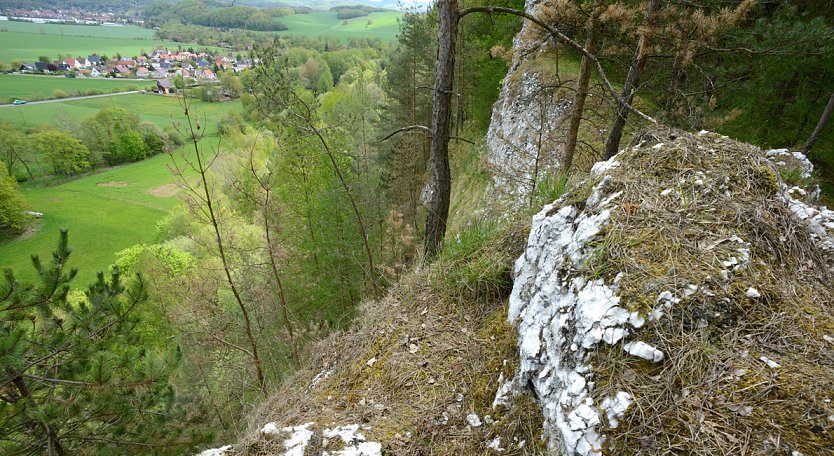 Wanderung durch den Gipskarst (Foto:  Thomas Stephan)