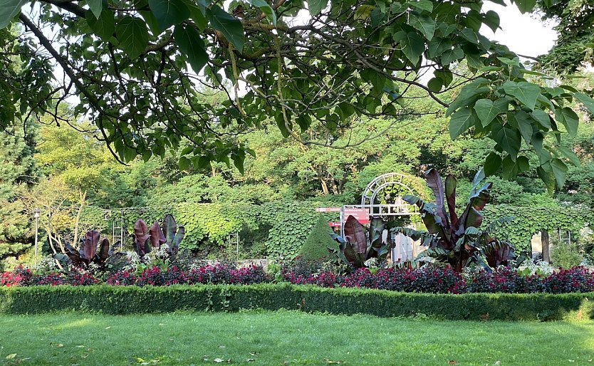 Blumenpracht im Bad Langensalzaer Kurpark (Foto: oas)