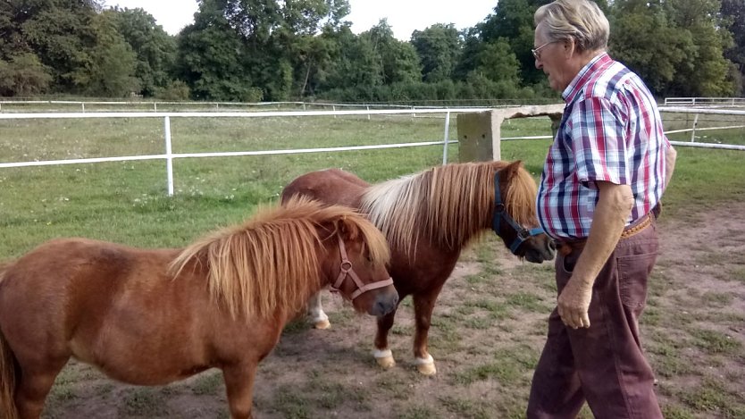 Die Shetlandponys haben es bei Besuchen auf der Farm  besonders den Kindern angetan. (Foto: Kurt Frank)