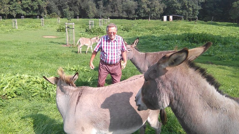  Wilfried Forst mit seinen Tieren auf der erst in diesem Jahr angelegten weiträumigen Eselwiese, bepflanzt mit Äpfel-, Pflaumen -und Kirschbäumen. (Foto: Kurt Frank)