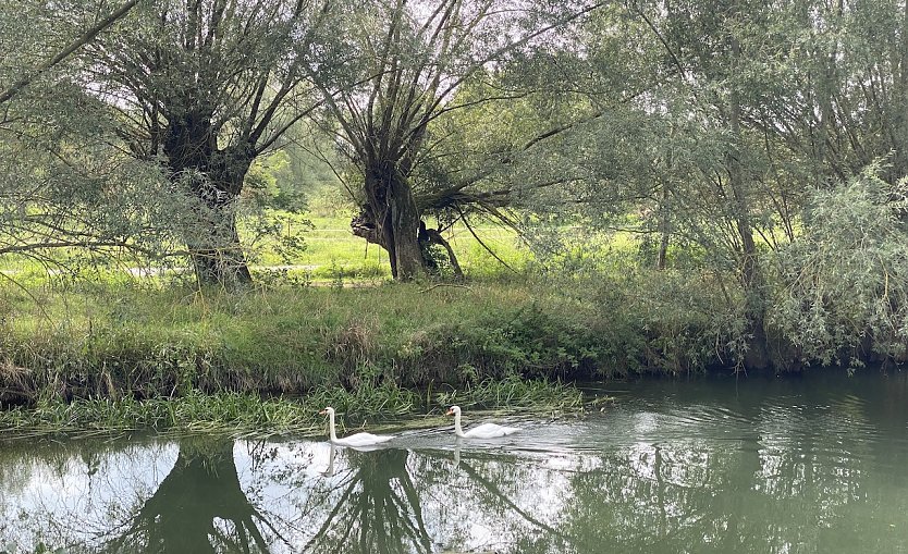 An der Unstrut bei Nägelstedt (Foto: oas)