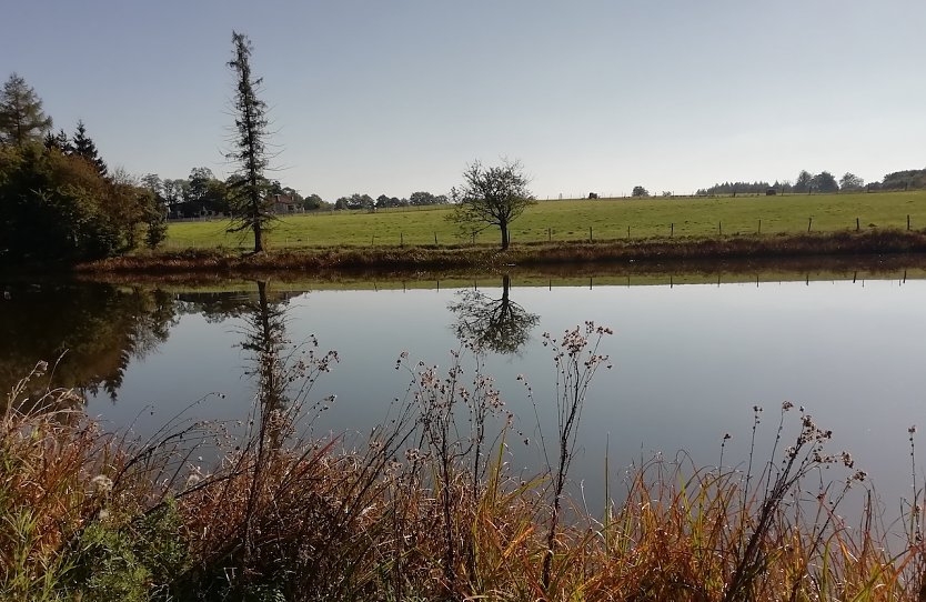 Windstill, sonnenüberflutet und morgens schon 20 Grad in Sophienhof, Thüringens nördlichstem Zipfel (Foto: W.Jörgens)