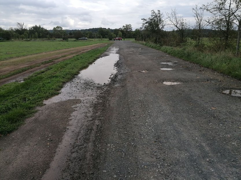 Der Weg zur Salzaquelle müsste dringend ausgebessert werden (Foto: D. Kramer)