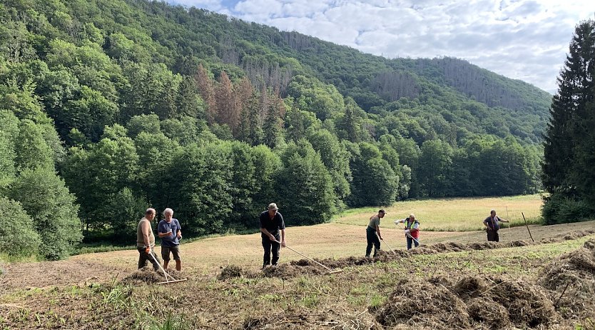 Landschaftspflege im Brandesbachtal (Foto: LPV)