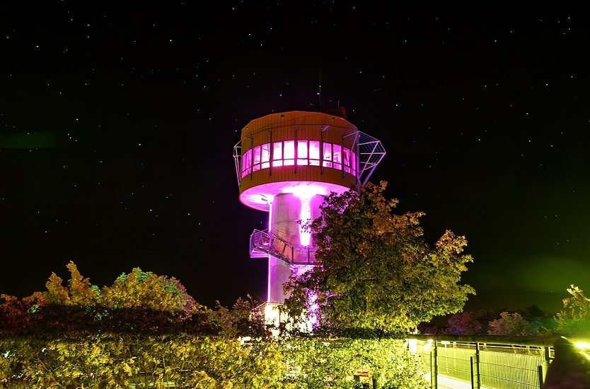 Höhengenuss auf dem Baumkronenpfad (Foto: Foto: © Trixi Mohring)