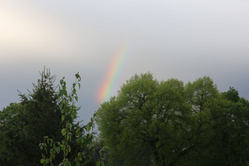 Wetterbild (Foto: agl)