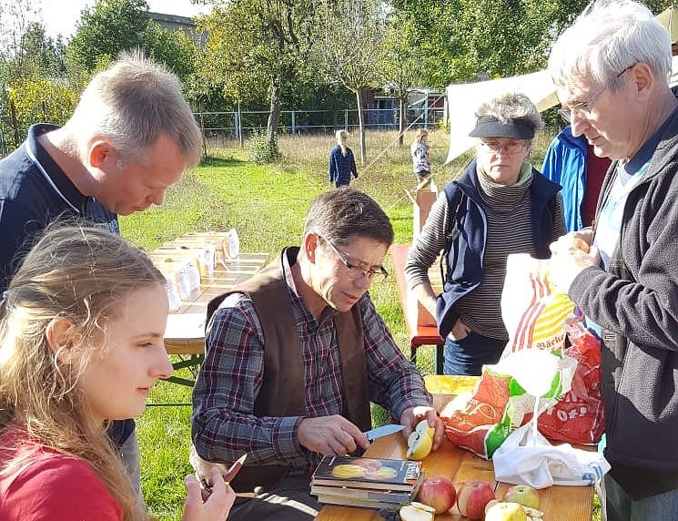 Sortenbestimmung beim Südharzer Apfeltag 2019 (Foto: Landschaftspflegeverband)