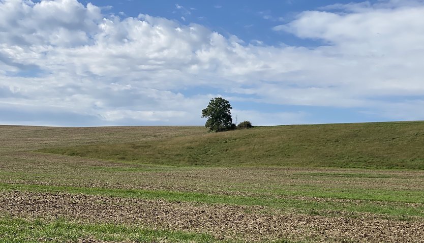 Der Herbst hält langsam Einzug in Thüringen (Foto: oas)