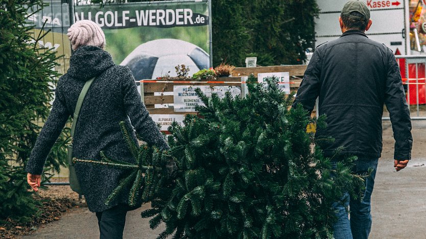 Weihnachtsbaumkauf wird teurer (Foto: ICH&ER Media)