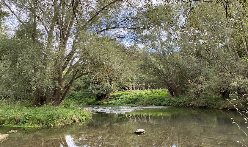 An der Unstrut (Foto: oas)