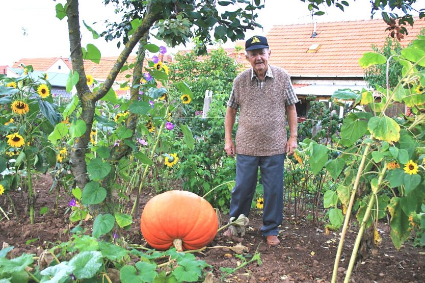 Gärtner mit grünen Daumen  (Foto: U. Reinboth )