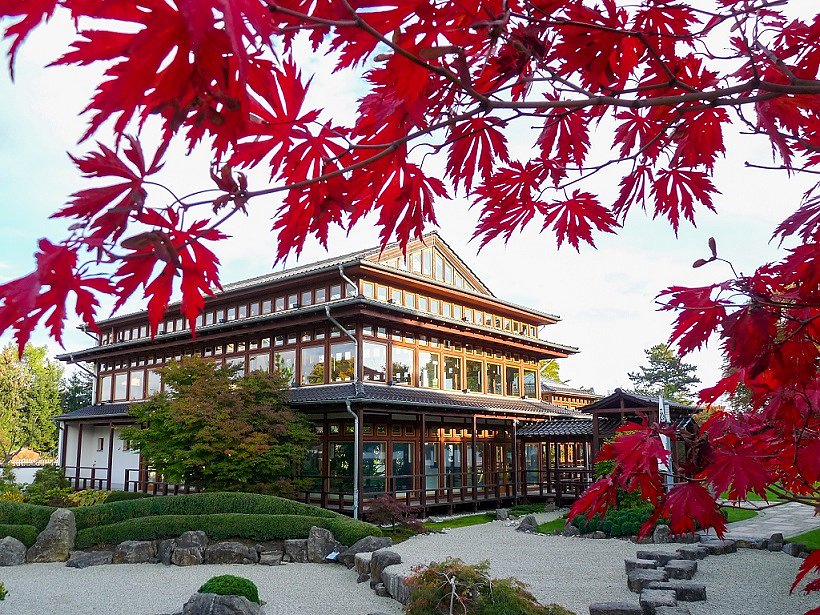 Japanischer Garten im Herbst  (Foto: Bad Langensalza KTL)