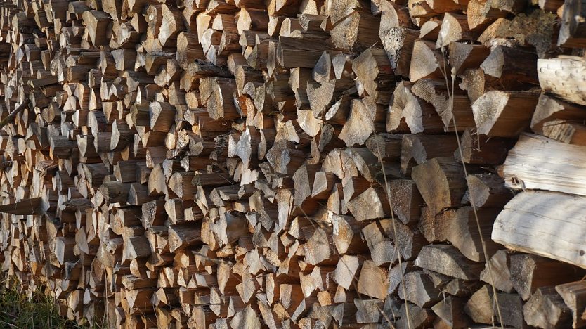Gerade für private Brennholzwerber gilt: Schadholzaufarbeitung erfordert noch mehr Umsicht (Foto: Daniela Tröger)