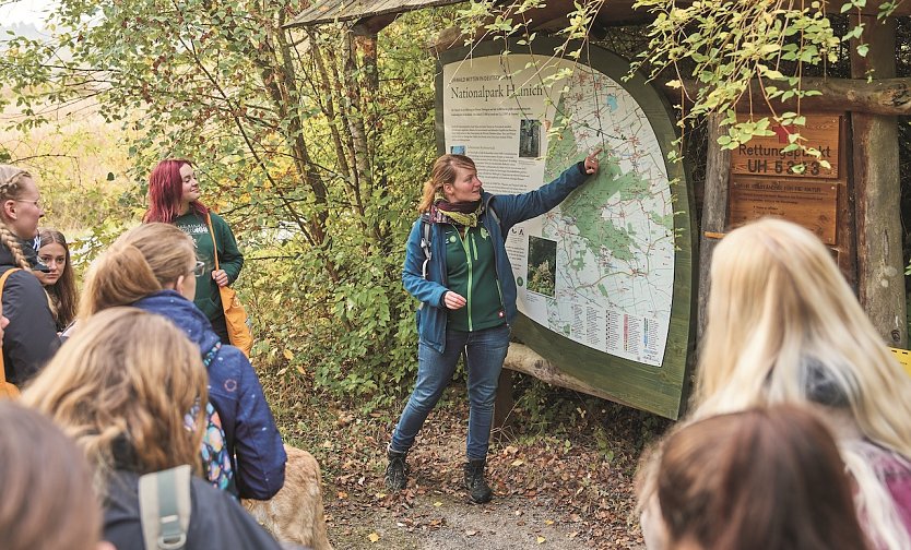 Commerzbank-Umweltpraktikantinnen und -praktikanten sind viel draußen unterwegs und zeigen Schülerinnen und Schülern den Nationalpark Hainich.  (Foto: Tino Sieland)