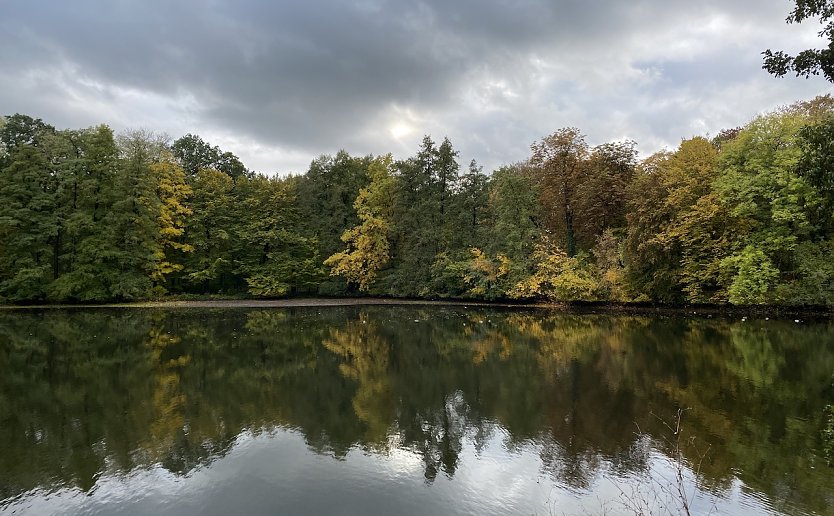 Herbstlicher Teich in Nordsachsen (Foto: oas)