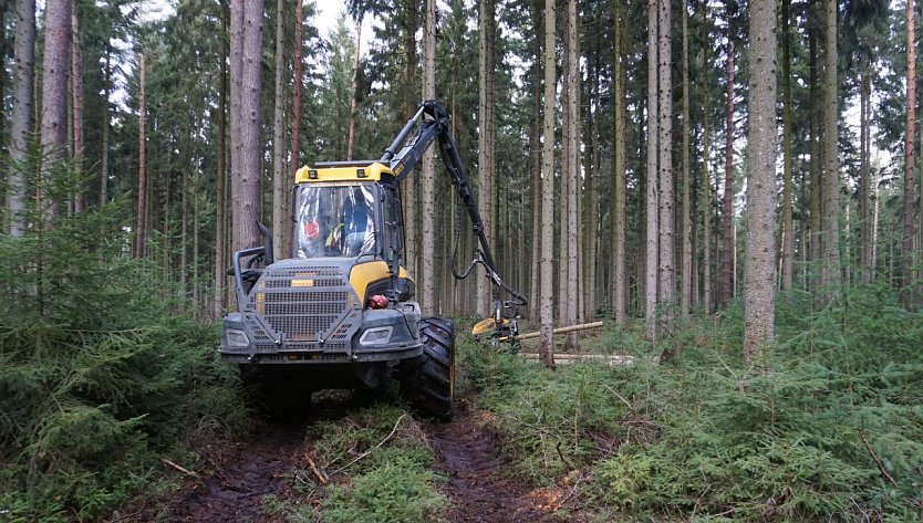 Durchforstungen, also die Förderung von vitalen Einzelbäumen, erfolgen in der Regel durch Forstmaschinen. Sie dienen unmittelbar der Stabilisierung der Wälder im Klimawandel und fördern so den Waldumbau (Foto:  Dr. Horst Sproßmann)