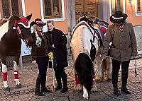 Herr und Frau Höxtermann mit ihren Pferden auf dem Sondershäuser Weihnachtsmarkt 2022 (Foto: Höxtermann (privat))