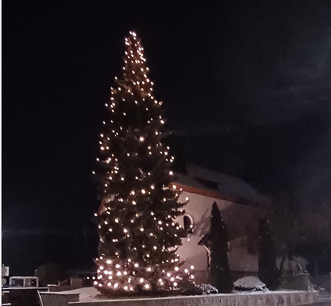 Der Weihnachtsbaum in Ferna leuchtet wieder (Foto: Tobias Reinhold)
