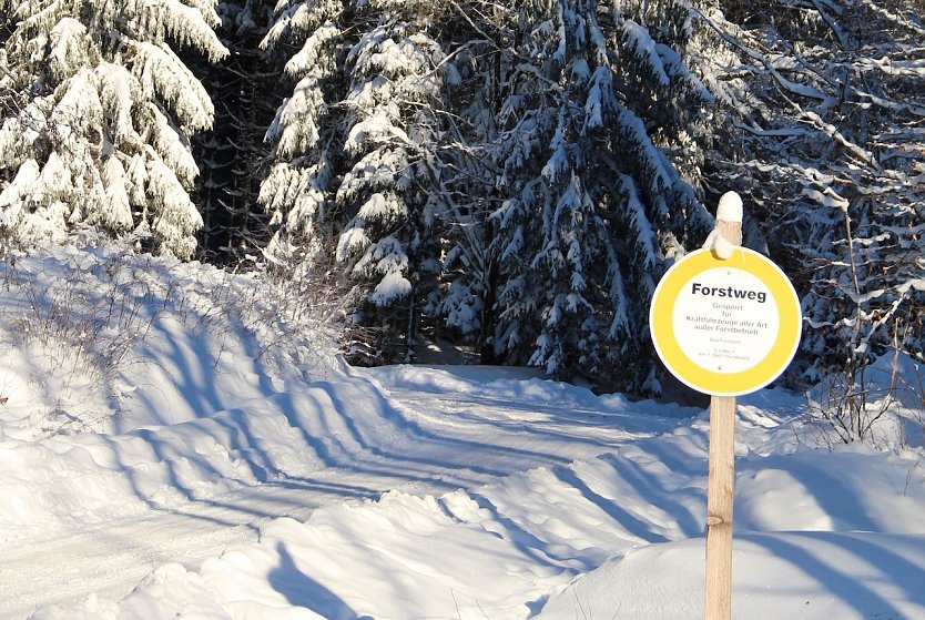 Auch wenn die herrlich weiße Waldwinterlandschaft zum ausgedehnten Spaziergang einlädt  die ThüringenForst-AöR warnt vor rutschigen und glatten Waldwegen insbesondere in den Mittelgebirgslagen (Foto: Dr. Horst Sproßmann)