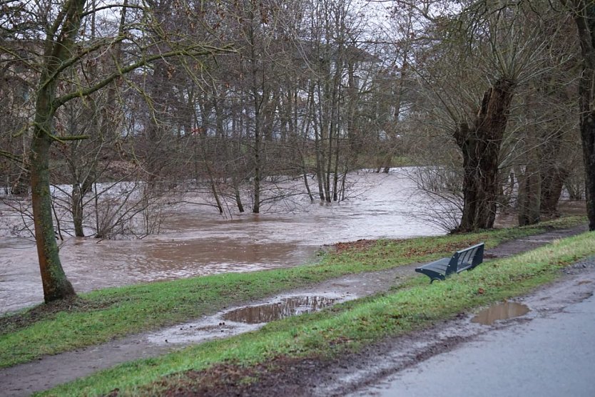 Hochwasser im Nordhäuser Stadtpark (Foto: Nicole Schulz)