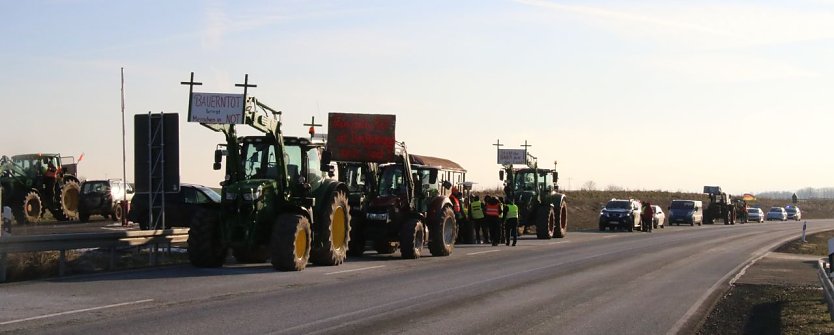 Bauernprotest an der B243 (Foto: agl)