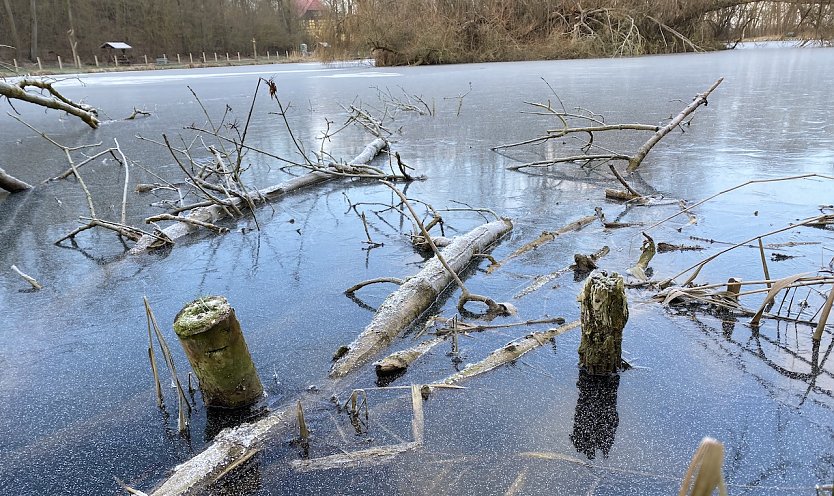 Auch an den Langensalzaer Böhmenteichen bleibt der Frost erhalten (Foto: oas)