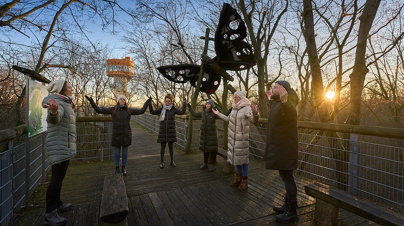 Lauschen, atmen, staunen: Entschleunigung in den Baumkronen, (Foto: © Tino Sieland)