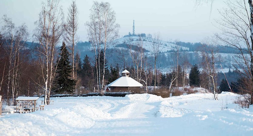 Wunderbare Winterlandschaft bei Benneckenstein (Foto: Peter Blei)