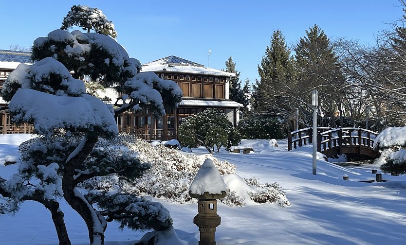 Japanischer Garten Bad Langensalza (Foto: oas)