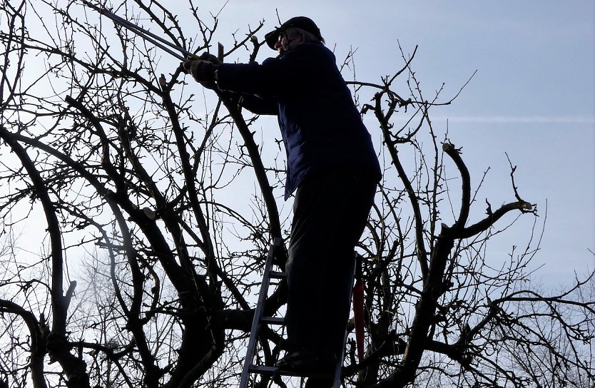 Gartenarbeit im Winter: Tipps von Werner Schumann (Foto: W.Schumann)