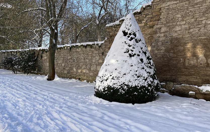 Winter ade heißt es vorläufig in Thüringen (Foto: oas)