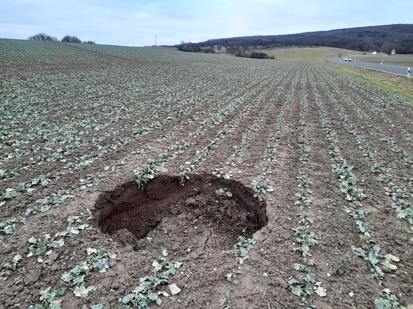 Erdfall nahe der Straße nach Hayn östlich Breitungen (Foto: Armin Hoch)