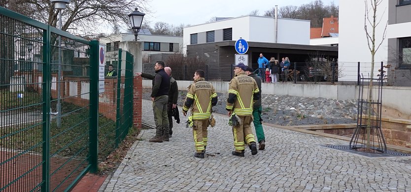 Anwohner hatten heute ihre Nachmittagsunterhaltung (Foto: nnz)