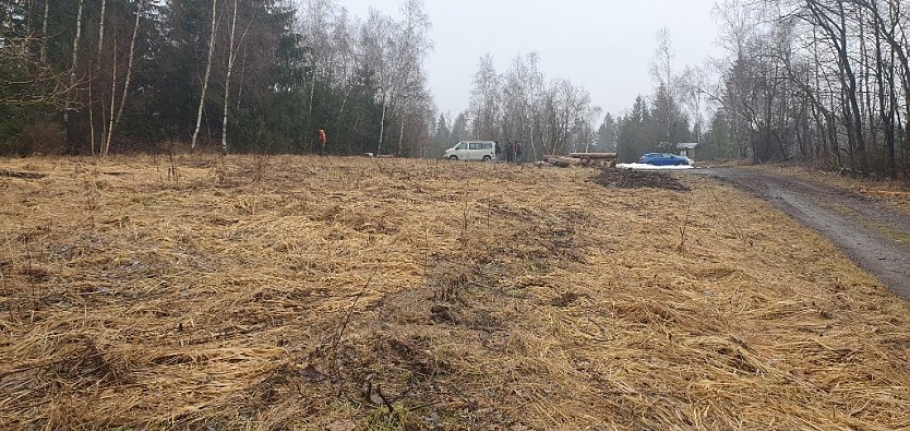 Die gemähte Bergwiese im ehemaligen Grenzstreifen vor der Mahd (Foto: Bodo Schwarzberg)