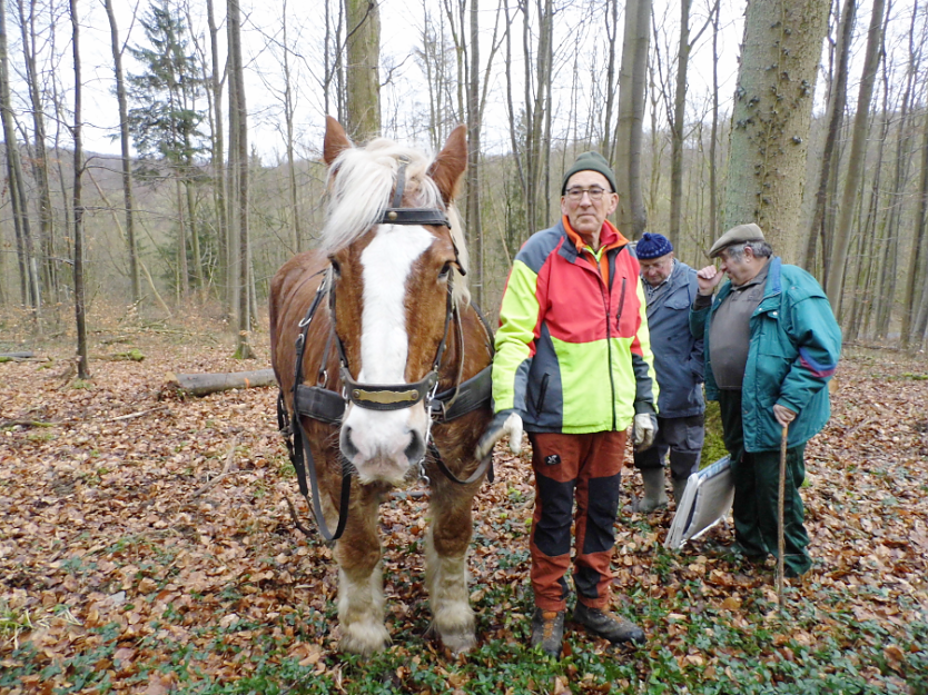 Vorführung im Wald (Foto: Privat)