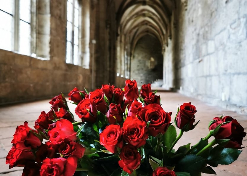 Rosen im Zisterzienser Kloster (Foto: Kloster Walkenried)