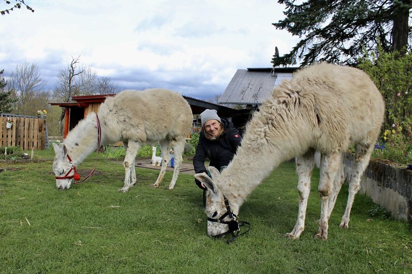 Alina Kroll mit ihren Lamas Moritz und Max (Foto: Eva Maria Wiegand)