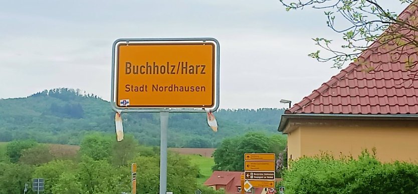 Buchholz (Foto: privat)