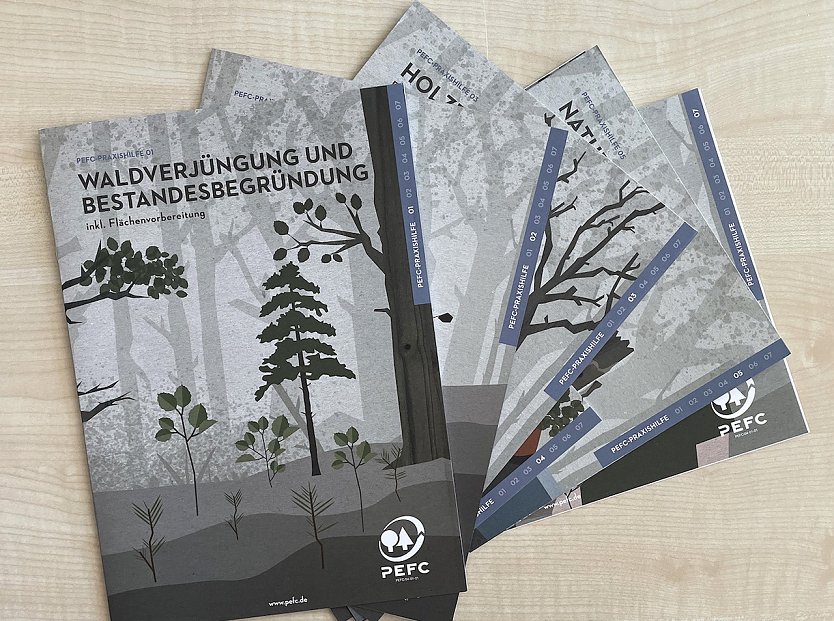 Mit neuen und übersichtlichen Materialien erleichtert die Waldschutzorganisation PEFC den Waldbesitzenden den Einstieg in die -in Zeiten des Klimawandels- immer wichtiger werdende Zertifizierungswelt (Foto: PEFC/ Ina Sänger)