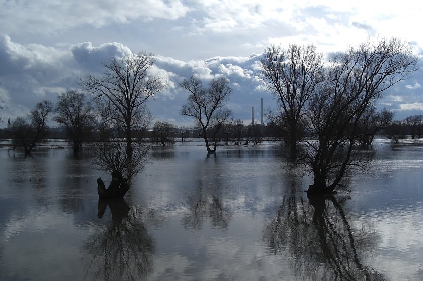 Hochwasser (Symbolbild) (Foto: Dagoberta auf Pixabay)