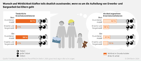 Grafik zur Studie (Foto: DIW)