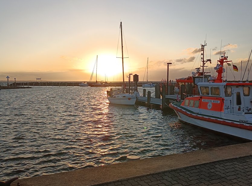 Abendlicht auf der Insel Poel (Foto: Hartung)