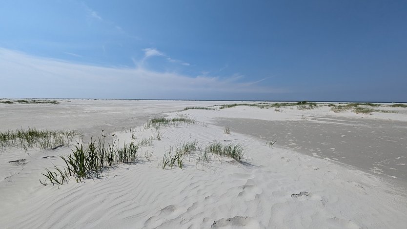 Traumhaftes Friesland Schiermonnikoog/Oostmahorn (3) (Foto: Fleischer)