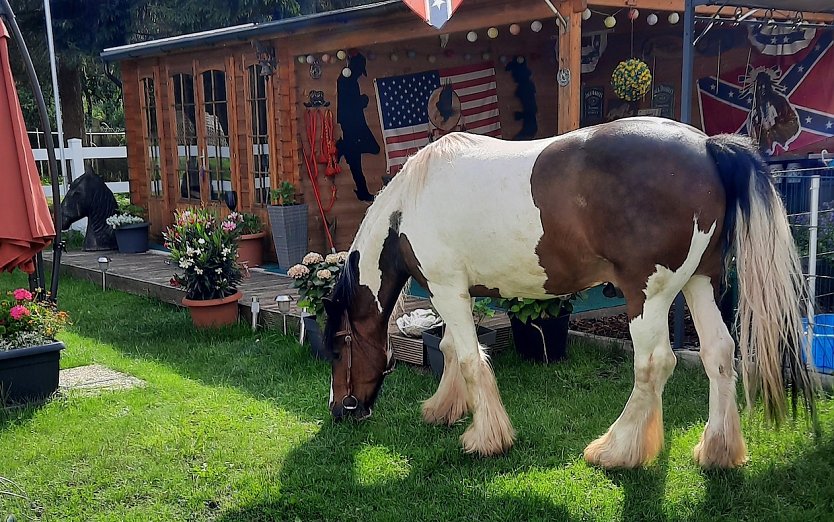 Leben auf der Ranch (Foto: Marina Höxtermann und Ronald Wicke)